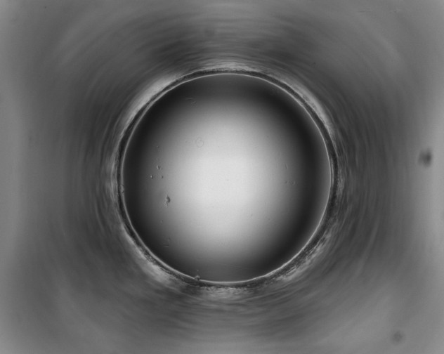 X0000100371293200806061147