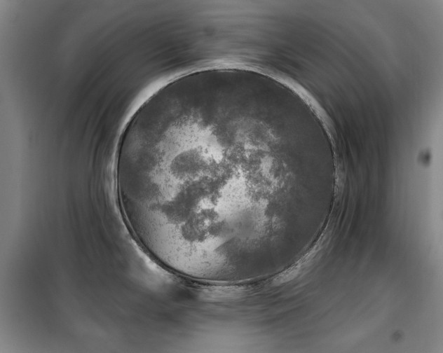 X0000100371294200806061147