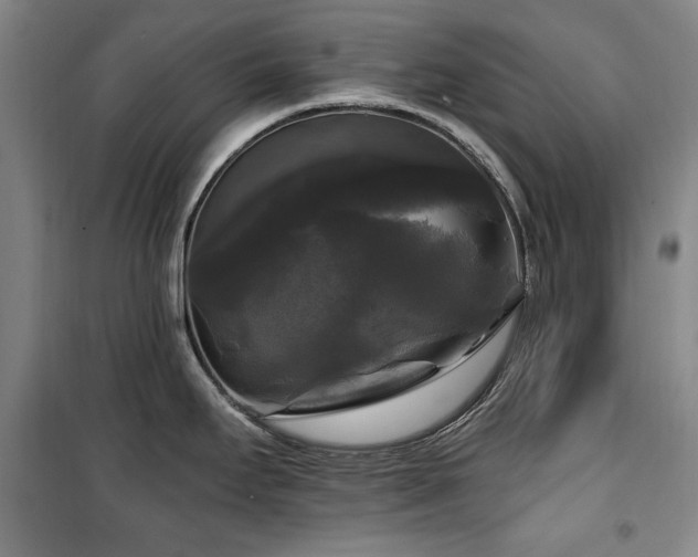X0000100371295200806061147