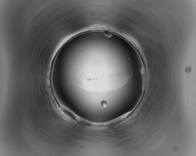 X0000100371296200806061147