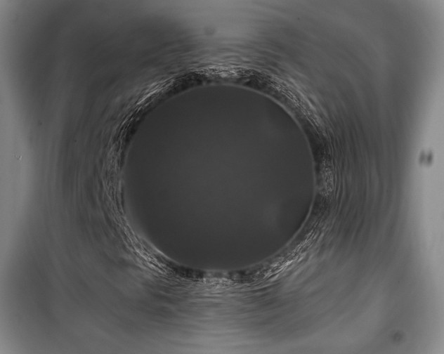 X0000100371297200806061146