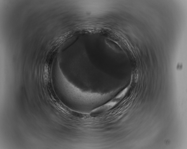 X0000100371298200806061146