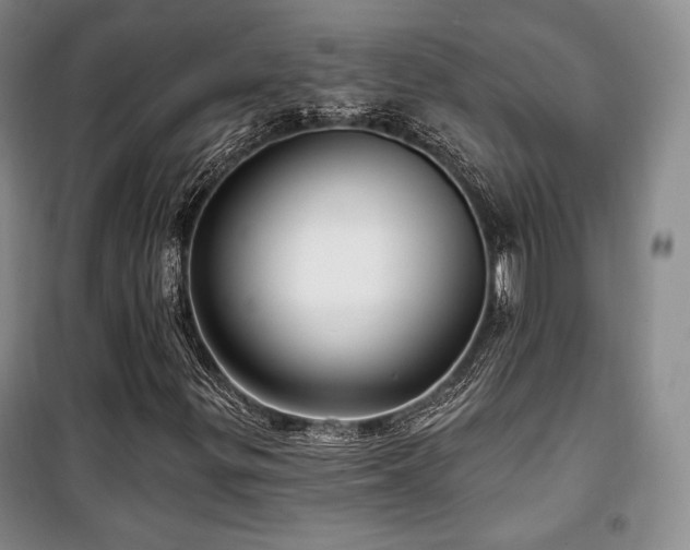 X0000100371299200806061146