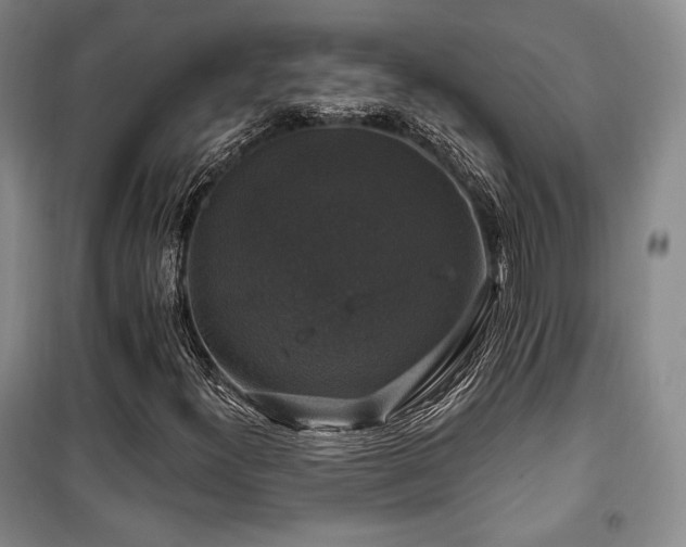 X0000100371300200806061146
