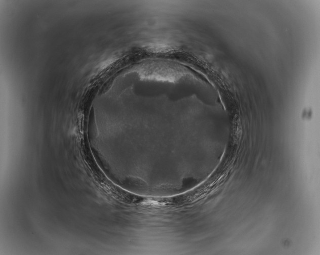 X0000100371301200806061146