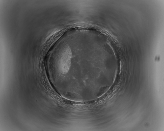 X0000100371302200806061146