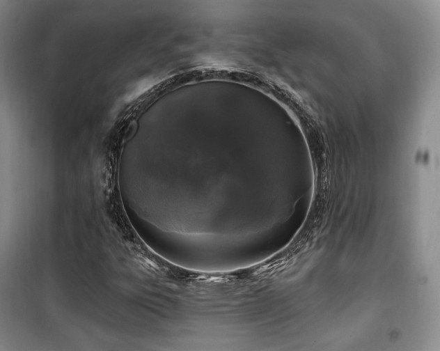 X0000100371303200806061146