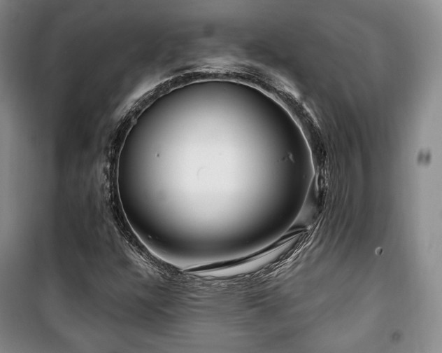 X0000100371304200806061146