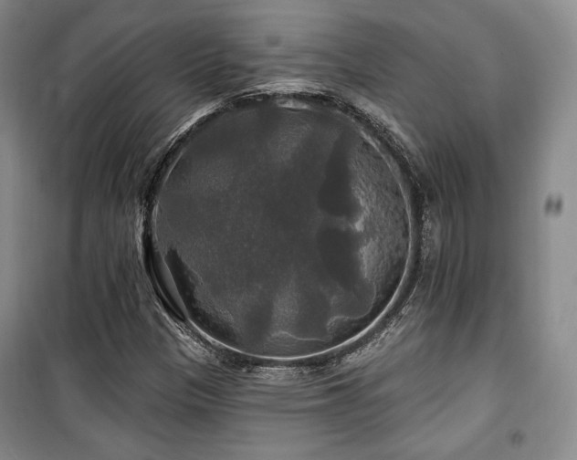X0000100371305200806061146