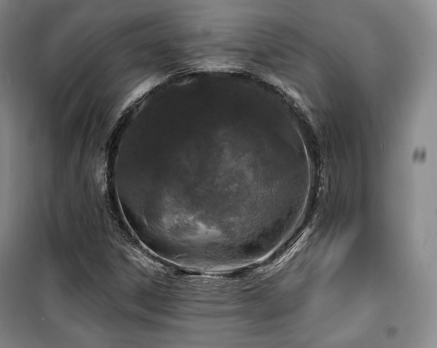 X0000100371306200806061146