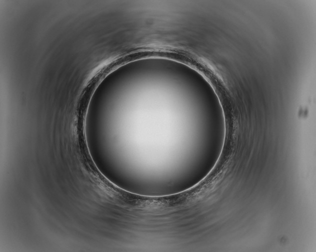 X0000100371307200806061146
