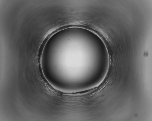X0000100371308200806061146