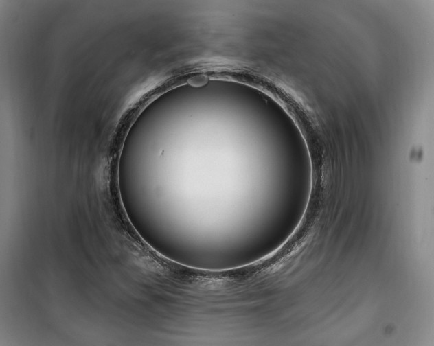X0000100371309200806061146