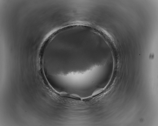 X0000100371310200806061146