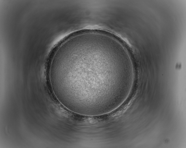 X0000100371311200806061146