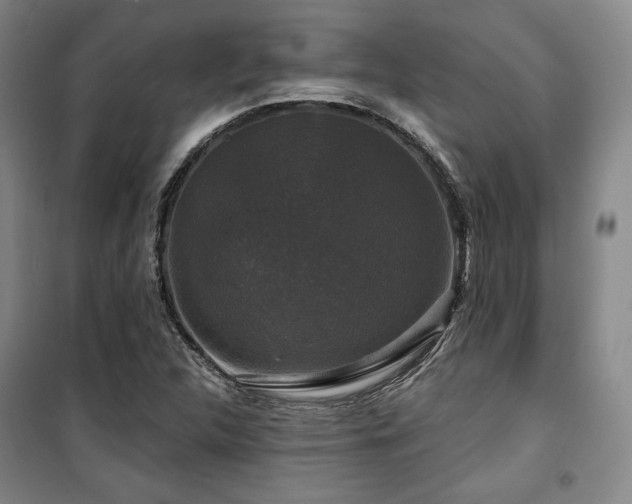 X0000100371312200806061146
