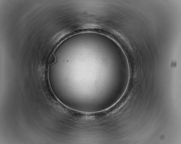 X0000100371313200806061146