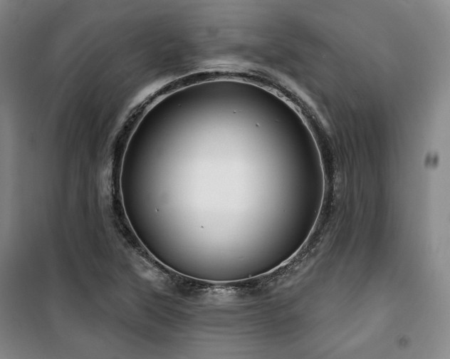 X0000100371315200806061146