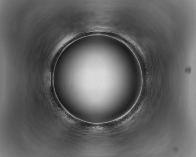 X0000100371317200806061146