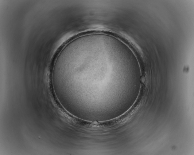 X0000100371318200806061146