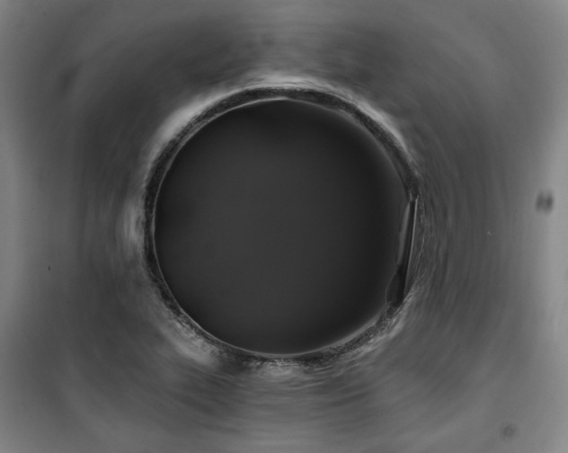 X0000100371319200806061146