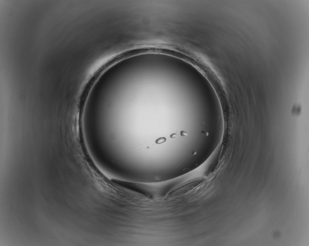 X0000100371320200806061146