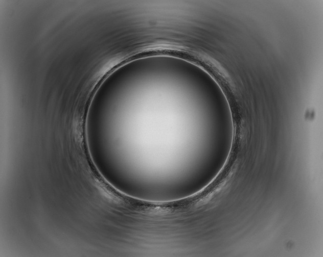 X0000100371321200806061146