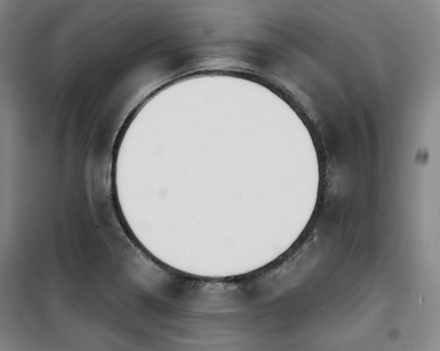 X0000100371322200806061146