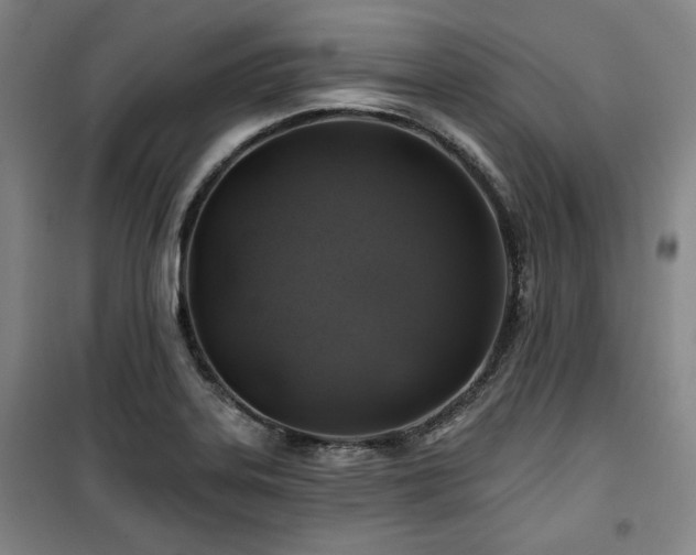 X0000100371323200806061146