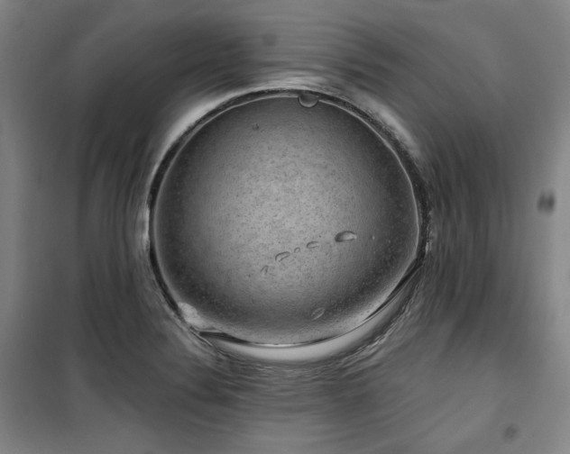X0000100371324200806061147