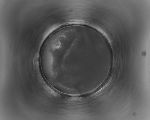 X0000100371325200806061147