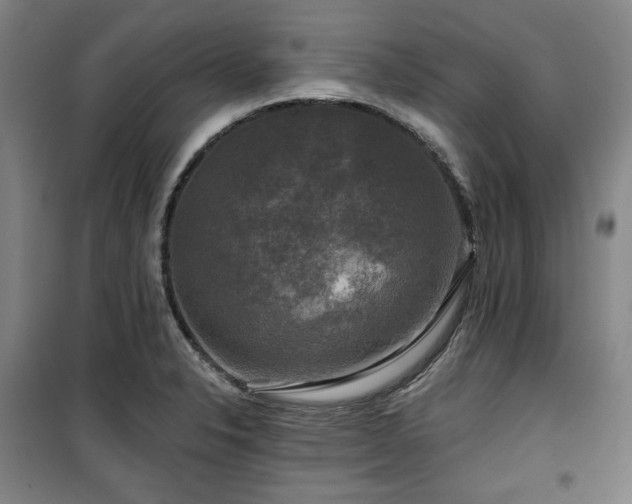 X0000100371326200806061147