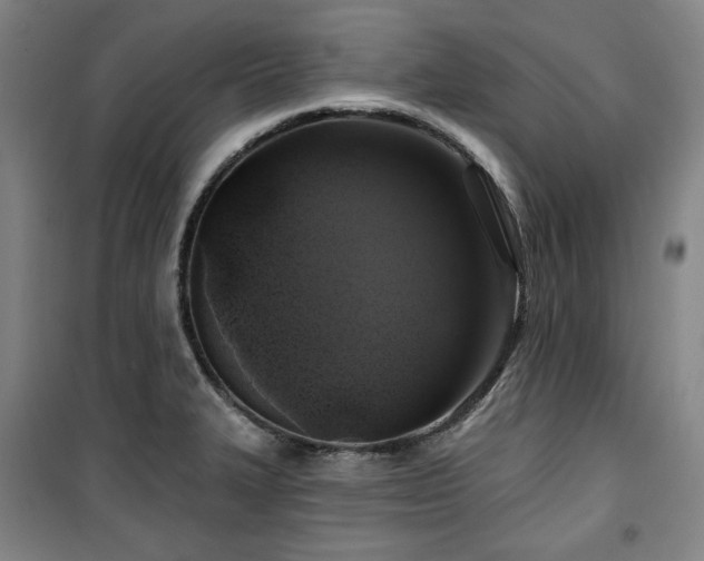 X0000100371327200806061147