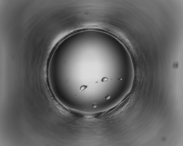 X0000100371328200806061147