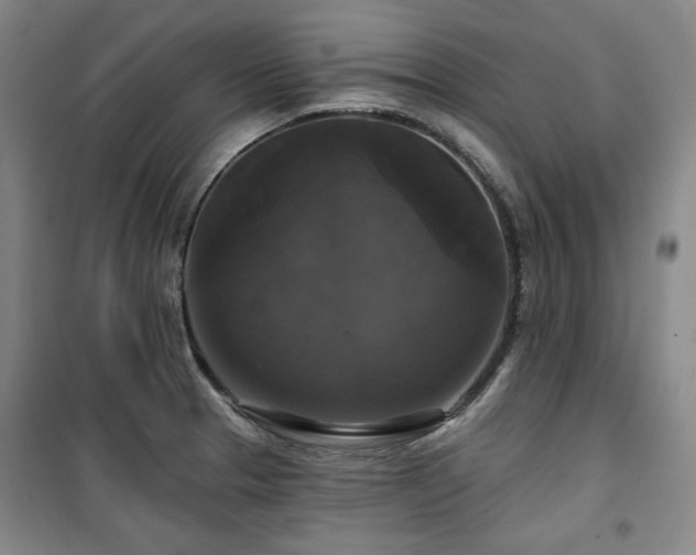 X0000100371329200806061147