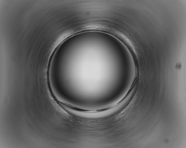 X0000100371330200806061147