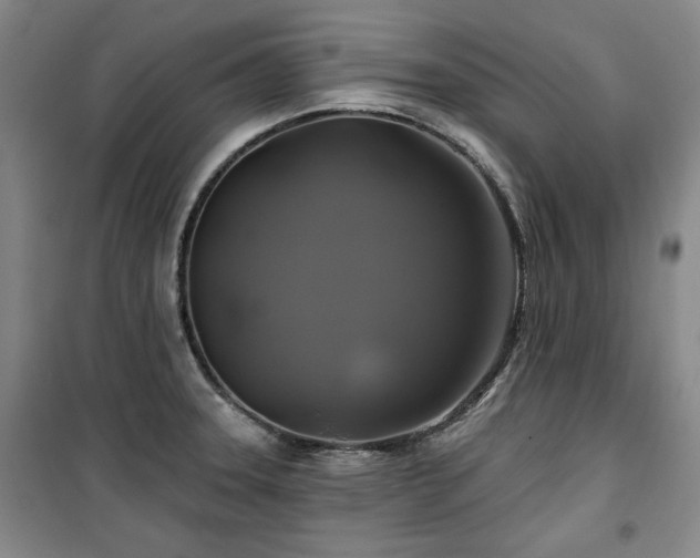 X0000100371331200806061147