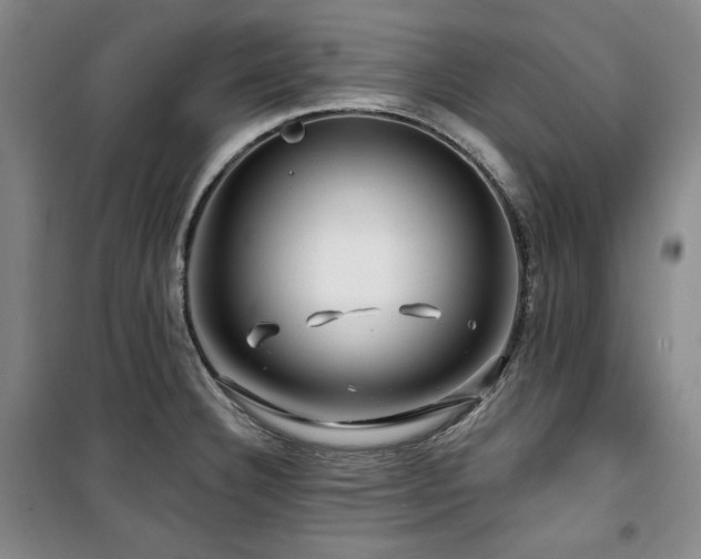 X0000100371332200806061147
