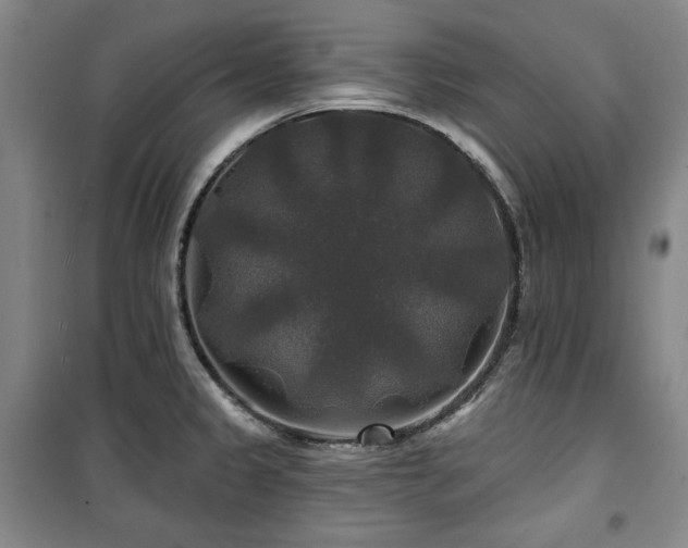 X0000100371333200806061147