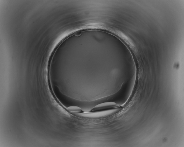 X0000100371334200806061147