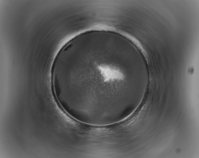 X0000100371335200806061147