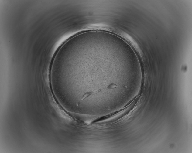 X0000100371336200806061147