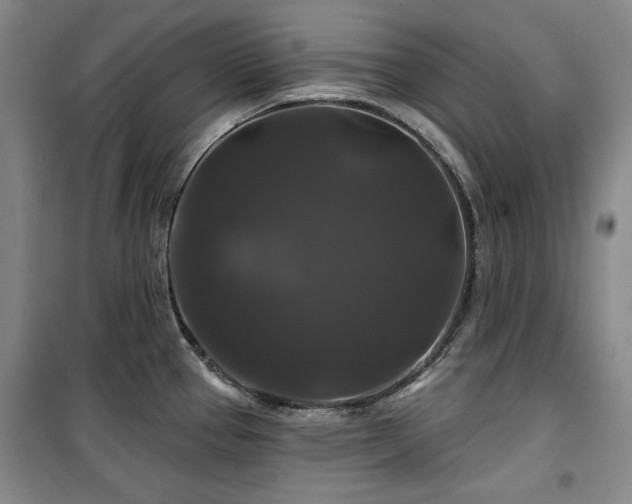 X0000100371337200806061147