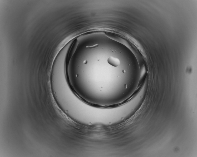 X0000100371338200806061147