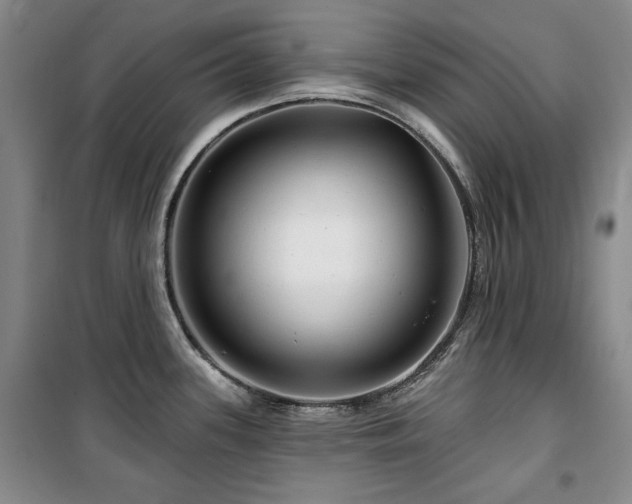 X0000100371339200806061147