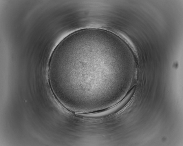 X0000100371340200806061147