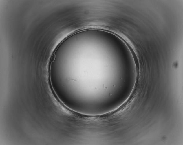 X0000100371341200806061147