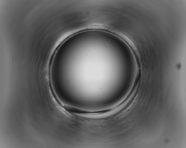 X0000100371342200806061147