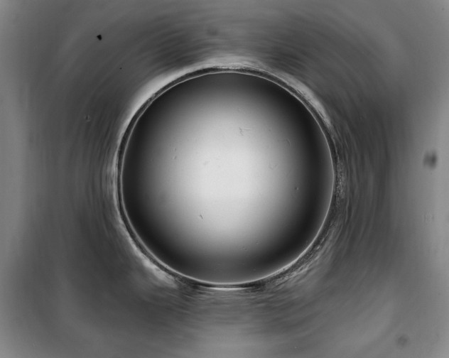 X0000100371343200806061147