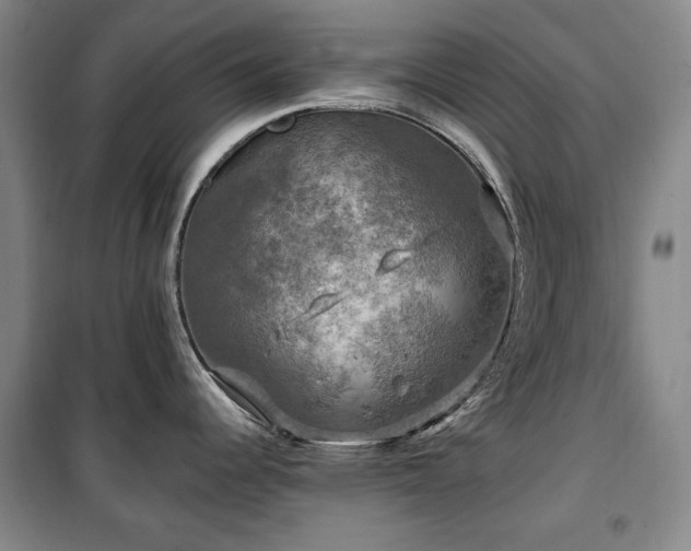 X0000100371344200806061147